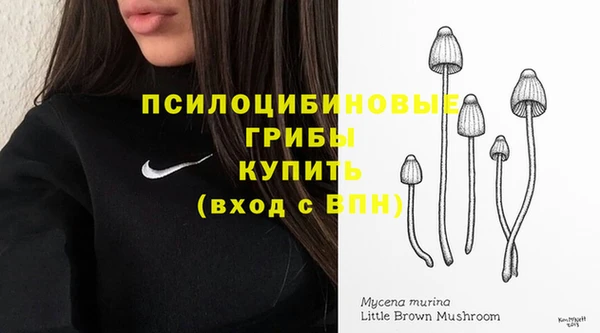 круглые Арсеньев