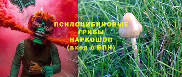 винт Аркадак